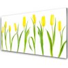 Skleneny obraz Žlté tulipány kvety 100x50 cm