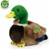 Rappa Plyšová kačica 20 cm ECO-FRIENDLY