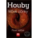 Houby a jejich léčivé účinky