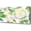 Foto obraz na plátne do obývačky Pivonky 100x50 cm