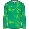 Nike | Dri-FIT Gardien VI Goalkeeper Long Sleeve Women | zelená| L