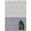 VÝPREDAJ: Paul Mitchell Duo Lavender Mint Shampoo a Overnight Moisture Therapy - šampón pre suché vlasy, 300 ml a bezoplachová nočná starostlivosť, 100 ml