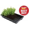 Garland Professional Seed Trays s drenáží (37 X 23.5 X 5 CM) - balení 5ks
