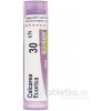 Calcarea Fluorica gra.1 x 4 g 30CH