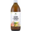 EkoMedica Zázvor, kurkuma, piperin 500 ml
