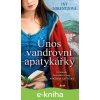 Únos vandrovní apatykářky - Iny Lorentz