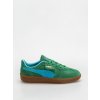 Puma Sneakersy nízke Palermo Vintage Update 40136401 zelená