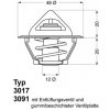 Termostat chladenia BorgWarner (Wahler) 3017.92D50
