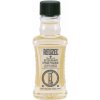 Reuzel AfterShave vody po holení Wood&Spice 100 ml