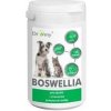 Dromy Boswellia 120 tbl.