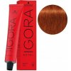 Schwarzkopf Igora Royal farba na vlasy 60ml 6-77 tmavá blond medená extra