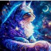 Norimpex Diamantová maľba Vesmírna mačka 30 x 40 cm 1-39 dielov