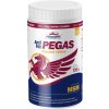 Vitar Veterinae ArtiVit Pegas MSM 720 g