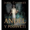 Anděl v podsvětí (Juraj Červenák): CD