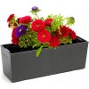 Nohel Garden Truhlica BEGONIA PROUTI plast 56x19x19cm