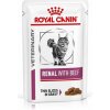 Royal Canin VHN Cat renal beef 12 x 85 g