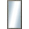 DANTIK - Zrkadlo v rámu, rozmer s rámom 50x100 cm z lišty Anversa strieborná (3152)