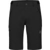 Mammut Runbold IV Shorts Men black