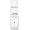 Goldwell Dualsenses Silver Shampoo 250 ml