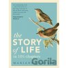 The Story of Life in 101/2 Chapters - Marianne Taylor
