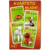 Deny Hra Kvarteto Mláďatá