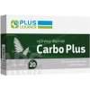 PLUS LEKÁREŇ Carbo Plus cps (aktívne uhlie 250 mg) 1x20 ks