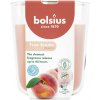 BOLSIUS Peach 313 g