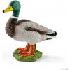 Schleich 13824 domáce zvieratko káčer