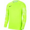 Nike Dry Park IV JSY GK Jr CJ6072 702