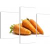 Mrkvy - obraz (Obraz 90x60cm)