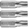 hrot TORX, sada 3ks, T 30x25mm, S2
