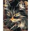 Diamondi Diamantové maľovanie - NÁDHERNÁ DVOJFAREBNÁ MAČKA Rámovanie: vypnuté plátno na rám, Rozmer: 40x50 cm