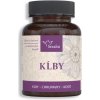 Kĺby - prírodné kapsule 90ks Serafin
