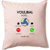 Volejbal volá - Vankúš 50x50 - 50x50 - Iba poťah ( Svetloružová )