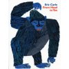 From Head to Toe - Carle, Eric