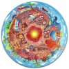Hape Puzzle Podzemný svet LED
