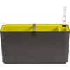 Truhlík samozavlažovací Berberis - antracit + zelená 40 cm