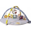 Taf Toys Hracia deka s hrazdou Bloom