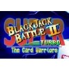 Super Blackjack Battle 2 Turbo Edition: The Card Warriors Steam CD Key