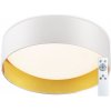 Top Light Top Light - LED Stmievateľné stropné svietidlo LED/24W/230V + diaľkové ovládanie biela TP1657 + záruka 3 roky zadarmo