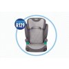 Graco AFFIX™ R129 2024 Affix™ R129 iron