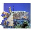 Just Jigsaws 605 Korytnačka a jej životný cyklus - drevené vrstvené puzzle 19 dielov