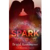Spark the Elemental Series (Brigid Kemmerer)(Brožovaná)