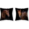 DETEXPOL Obliečka na vankúšik Koně Live micro Polyester, 40/40 cm