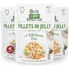 Brit Care Cat kapsička Fillets in Jelly with Wholesome Tuna 85 g