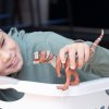 Schleich 15032 prehistorické zvieratko dinosaura Majungasaurus