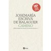 CAMINO (EDICIÓN LITERARIA ESPECIAL)(100ª EDICIÓN)