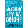 Strieborný lev na oblohe - Annabel Pitcher