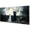 Obraz na akrylátovom skle Wolves mesiac lesné 100x50 cm