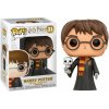 Funko POP! Harry Potter a Fantastické zvieratá Harry Potter with Hedwig 31